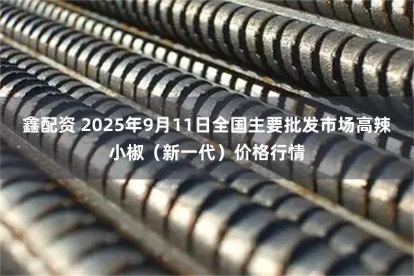 鑫配资 2025年9月11日全国主要批发市场高辣小椒（新一代）价格行情