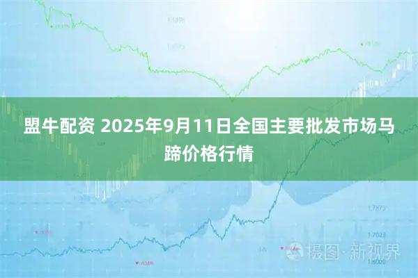 盟牛配资 2025年9月11日全国主要批发市场马蹄价格行情