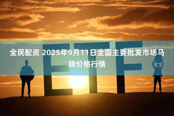 全民配资 2025年9月11日全国主要批发市场马蹄价格行情