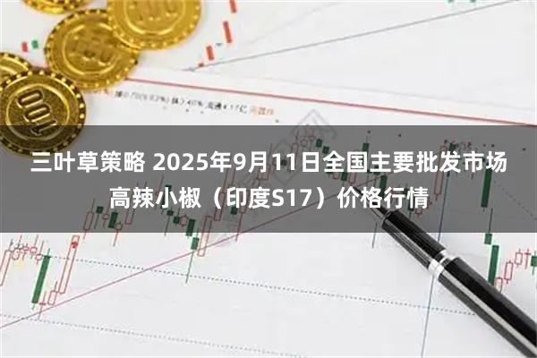 三叶草策略 2025年9月11日全国主要批发市场高辣小椒（印度S17）价格行情