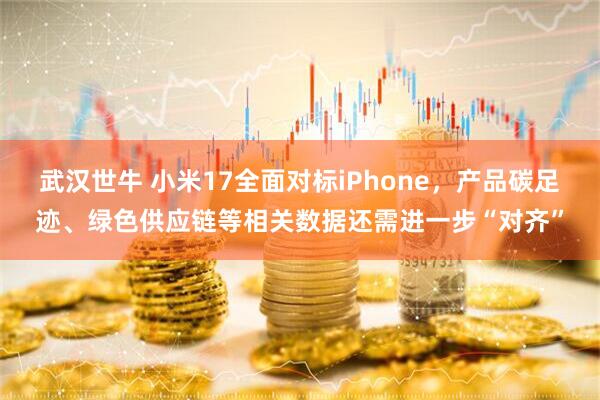武汉世牛 小米17全面对标iPhone，产品碳足迹、绿色供应链等相关数据还需进一步“对齐”