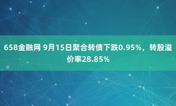 658金融网 9月15日聚合转债下跌0.95%，转股溢价率28.85%