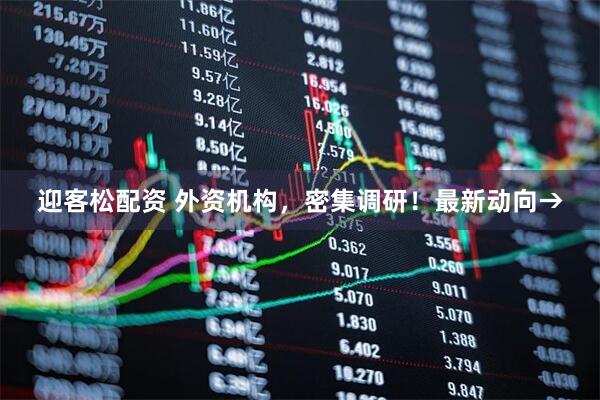 迎客松配资 外资机构，密集调研！最新动向→