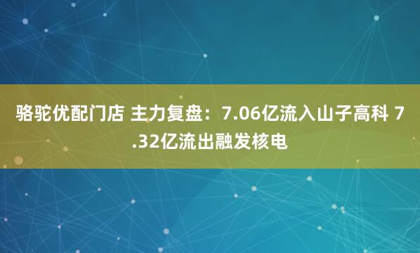 骆驼优配门店 主力复盘：7.06亿流入山子高科 7.32亿流出融发核电