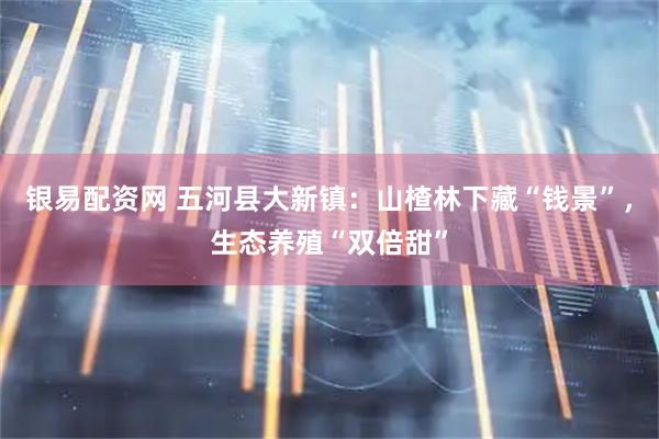 银易配资网 五河县大新镇：山楂林下藏“钱景”，生态养殖“双倍甜”