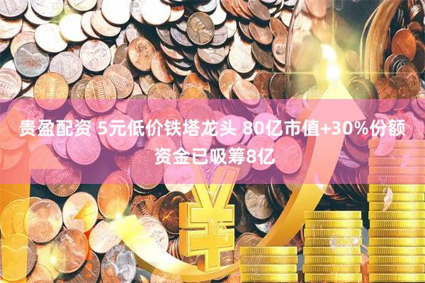 贵盈配资 5元低价铁塔龙头 80亿市值+30%份额 资金已吸筹8亿