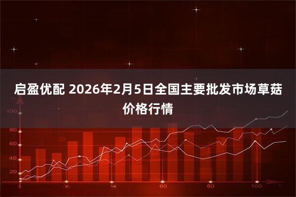 启盈优配 2026年2月5日全国主要批发市场草菇价格行情